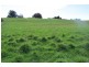 25 Holmes Road, Roland TAS 7306