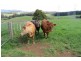 25 Holmes Road, Roland TAS 7306