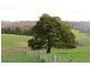 25 Holmes Road, Roland TAS 7306