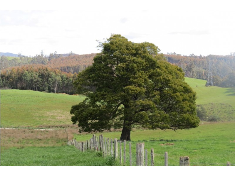 25 Holmes Road, Roland TAS 7306