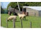 25 Holmes Road, Roland TAS 7306