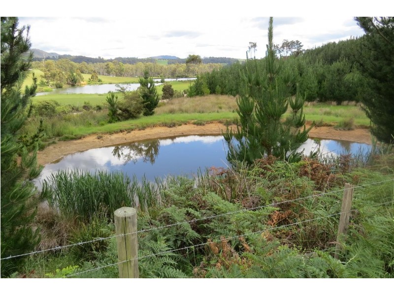 . Dobsons Road, Railton TAS 7305