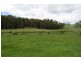 . Dobsons Road, Railton TAS 7305