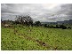 1568 Railton Road, Merseylea TAS 7305