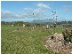 72 Marshall Road, Sheffield TAS 7306