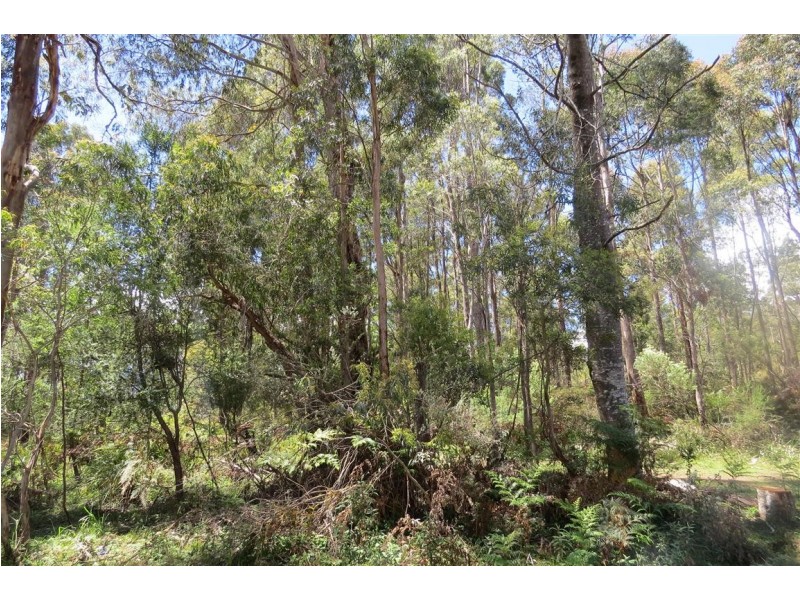 32-34 Watts Road, Paradise TAS 7306