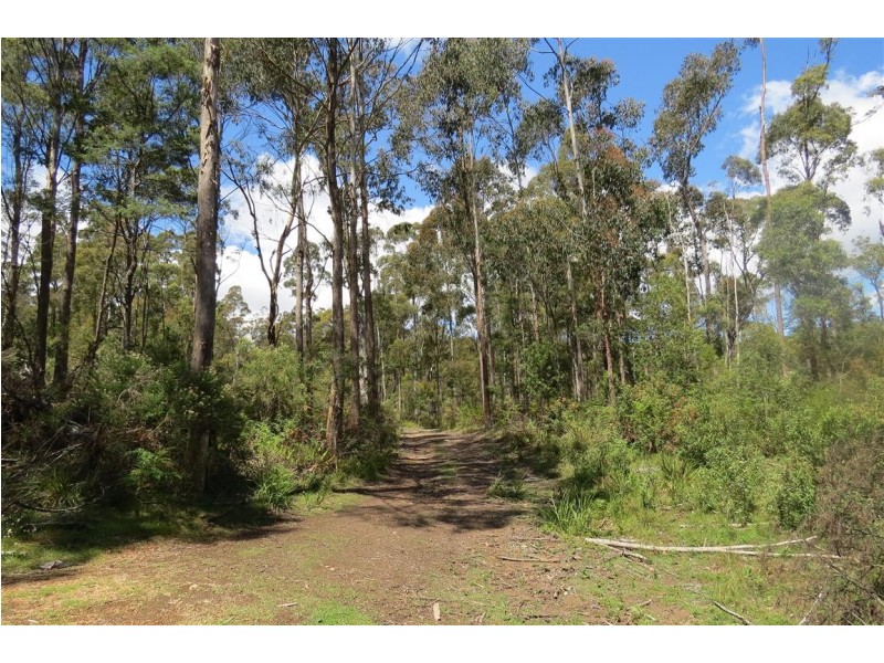 32-34 Watts Road, Paradise TAS 7306