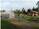 31 Bullocks Road, Sheffield TAS 7306