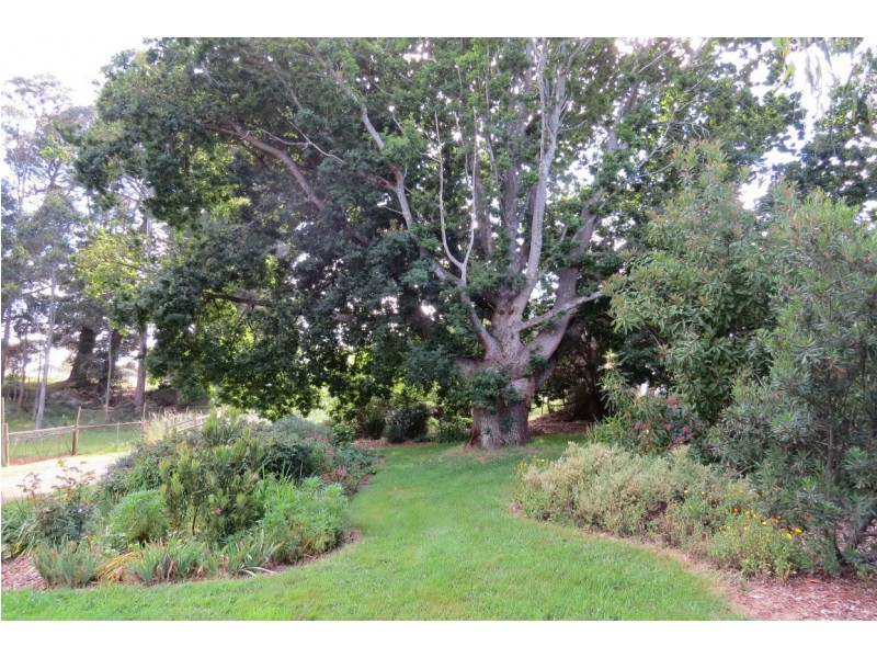 998 Sheffield Road, Lower Barrington TAS 7306