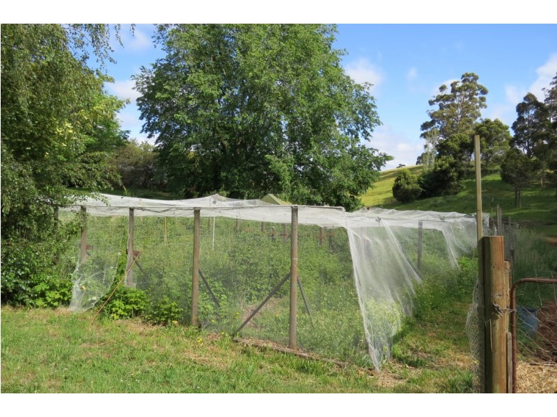 998 Sheffield Road, Lower Barrington TAS 7306