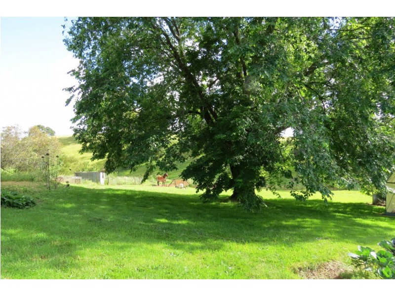 998 Sheffield Road, Lower Barrington TAS 7306