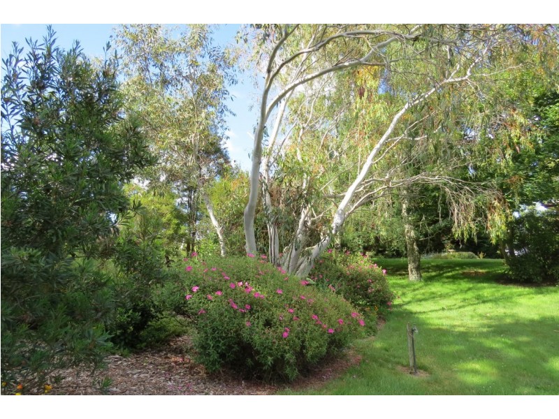 998 Sheffield Road, Lower Barrington TAS 7306