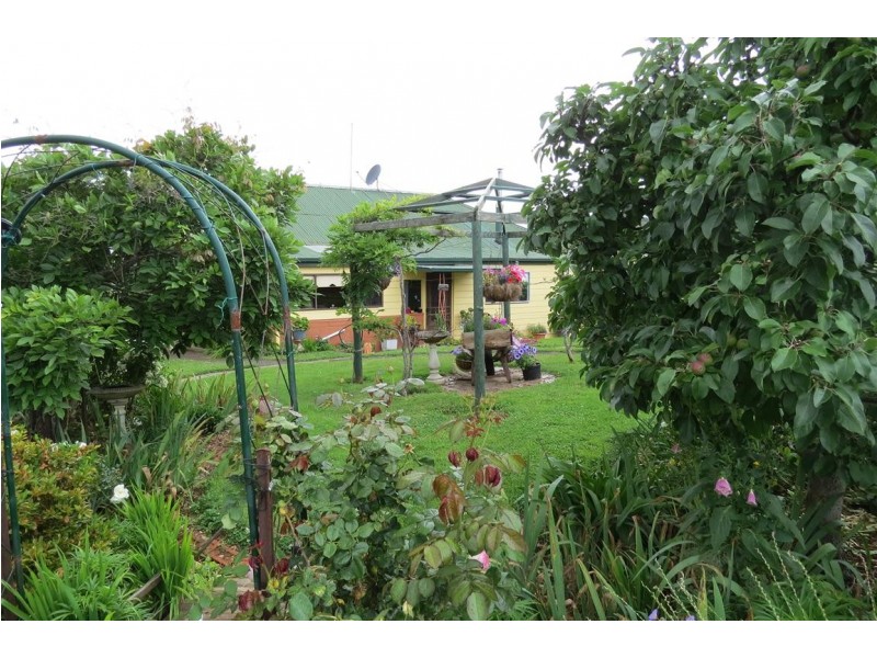 2836 Wilmot Road, Wilmot TAS 7310