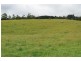 2836 Wilmot Road, Wilmot TAS 7310