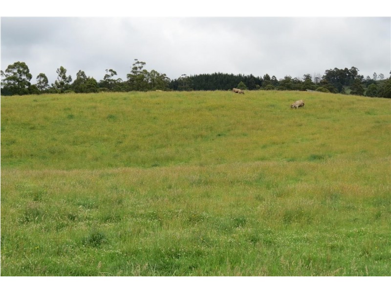 2836 Wilmot Road, Wilmot TAS 7310