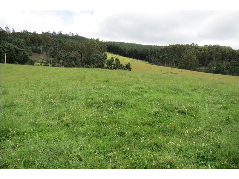 2836 Wilmot Road, Wilmot TAS 7310