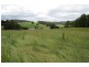 2836 Wilmot Road, Wilmot TAS 7310