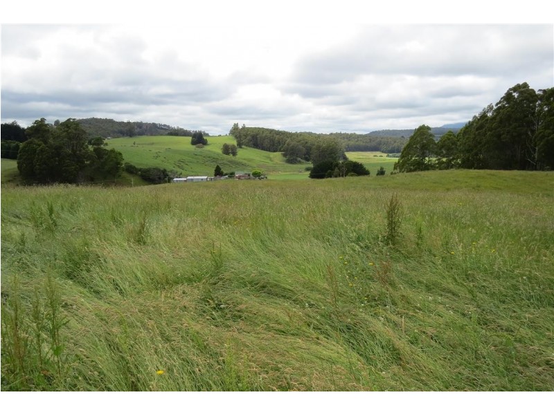 2836 Wilmot Road, Wilmot TAS 7310