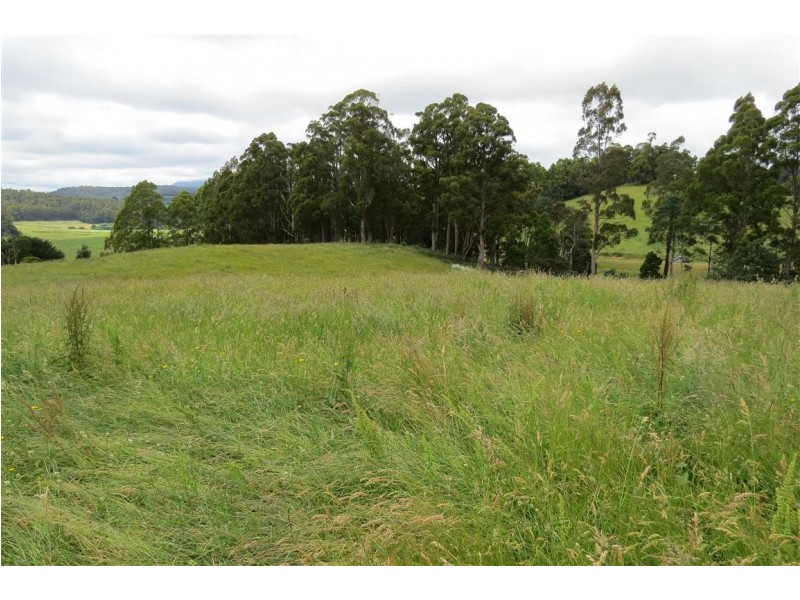 2836 Wilmot Road, Wilmot TAS 7310