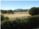 2836 Wilmot Road, Wilmot TAS 7310