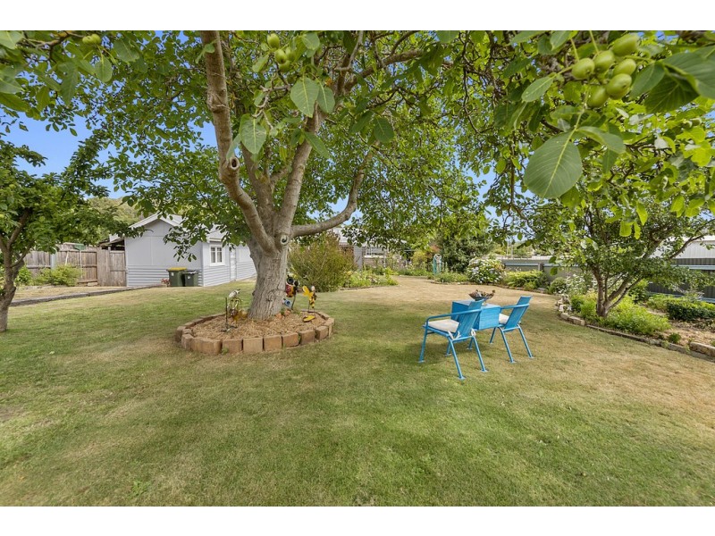 51 Morrison Street, Railton TAS 7305