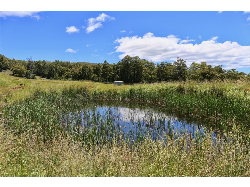 146 Paloona Road, Paloona TAS 7310