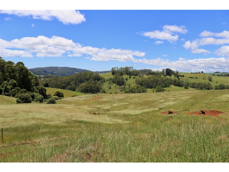 146 Paloona Road, Paloona TAS 7310