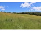 146 Paloona Road, Paloona TAS 7310