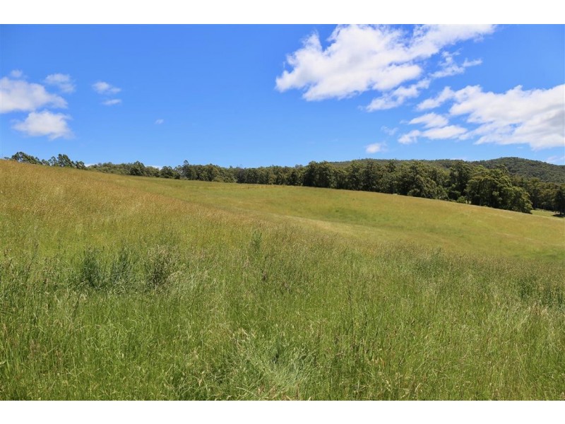 146 Paloona Road, Paloona TAS 7310