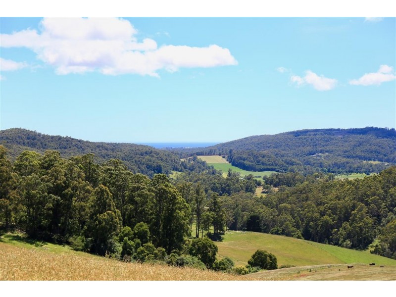 146 Paloona Road, Paloona TAS 7310