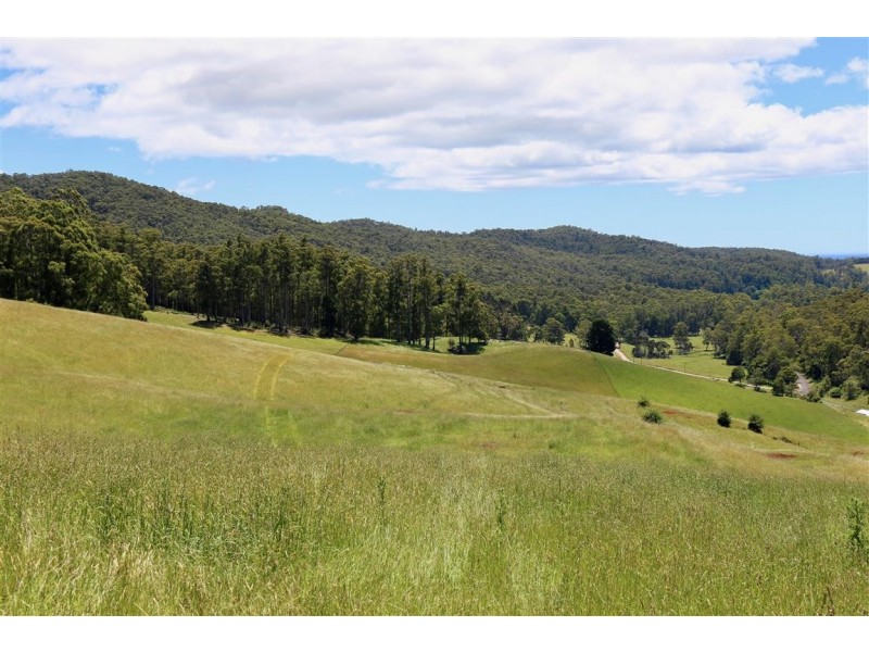146 Paloona Road, Paloona TAS 7310