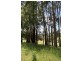 146 Paloona Road, Paloona TAS 7310