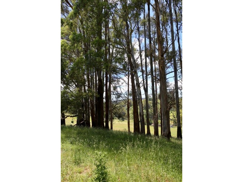 146 Paloona Road, Paloona TAS 7310