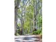 146 Paloona Road, Paloona TAS 7310