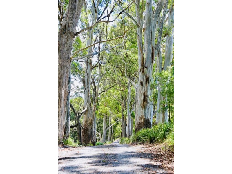 146 Paloona Road, Paloona TAS 7310