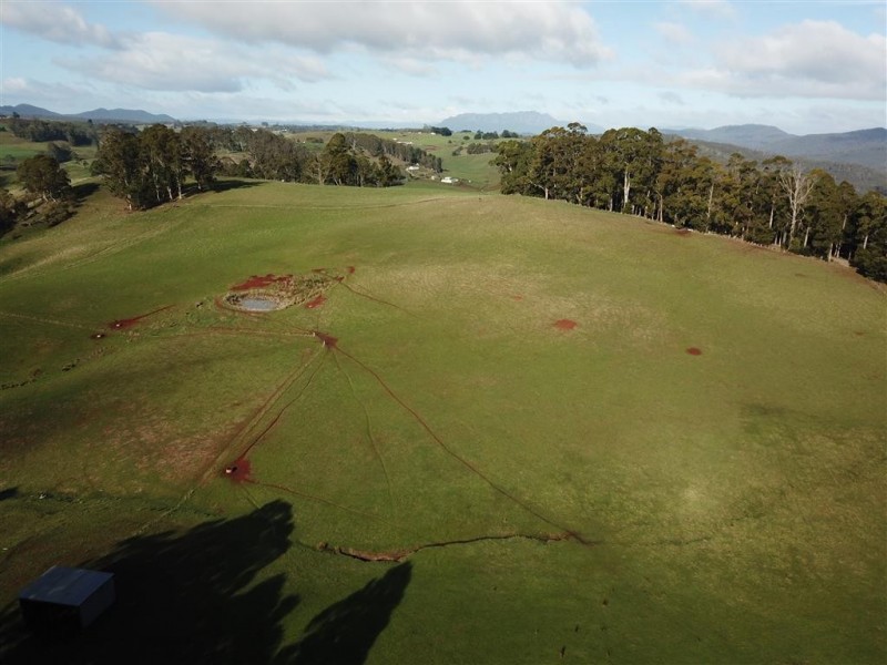 146 Paloona Road, Paloona TAS 7310