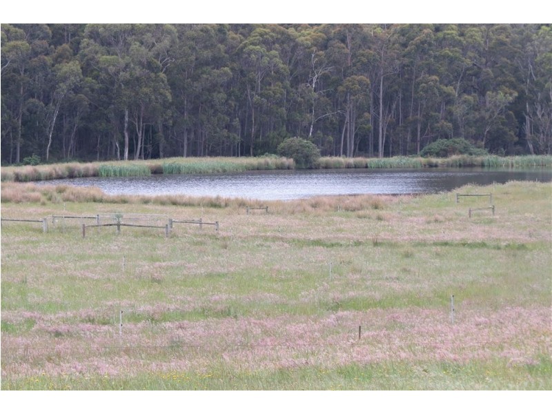 265 Coal Hill Road, Latrobe TAS 7307
