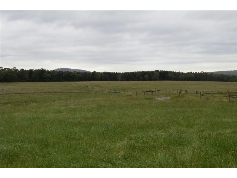 265 Coal Hill Road, Latrobe TAS 7307
