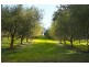 840 Sheffield Road, Lower Barrington TAS 7306