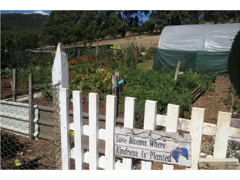 438 Nook Road, Nook TAS 7306