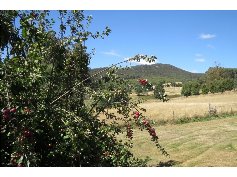 438 Nook Road, Nook TAS 7306