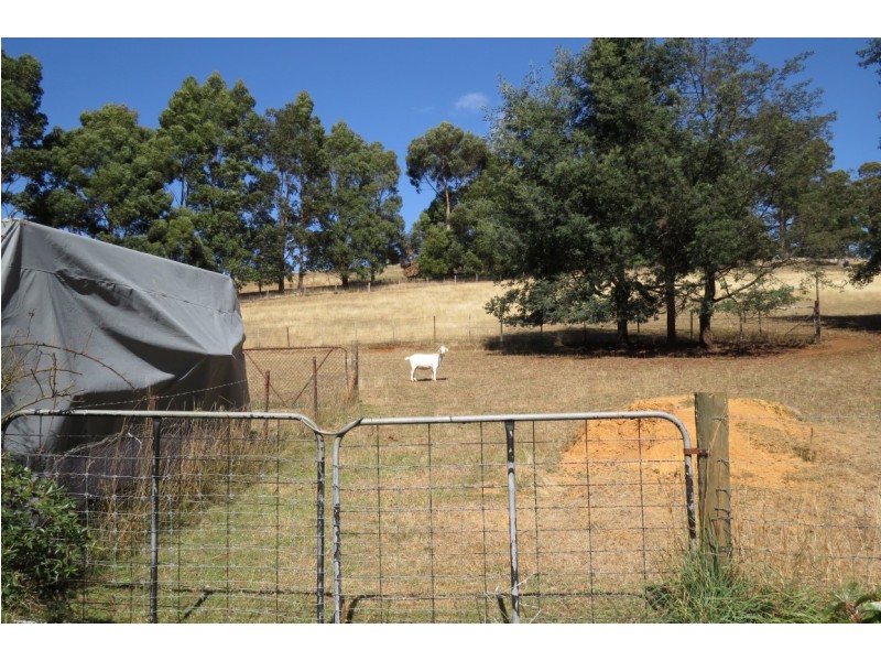 438 Nook Road, Nook TAS 7306