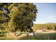 525 Nook road, Nook TAS 7306