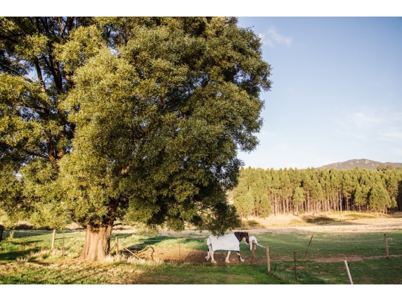 525 Nook road, Nook TAS 7306