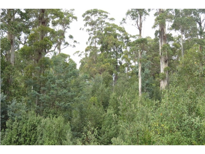 Lot 2 Harland Rise Road, Paradise TAS 7306