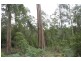 Lot 2 Harland Rise Road, Paradise TAS 7306