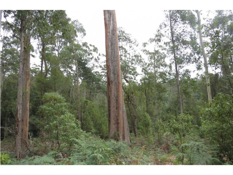 Lot 2 Harland Rise Road, Paradise TAS 7306