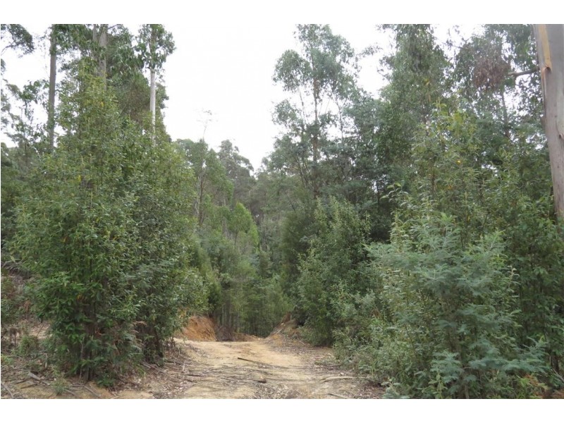Lot 2 Harland Rise Road, Paradise TAS 7306