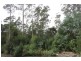 Lot 2 Harland Rise Road, Paradise TAS 7306