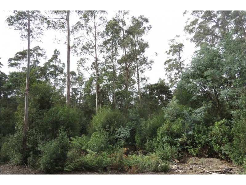 Lot 2 Harland Rise Road, Paradise TAS 7306